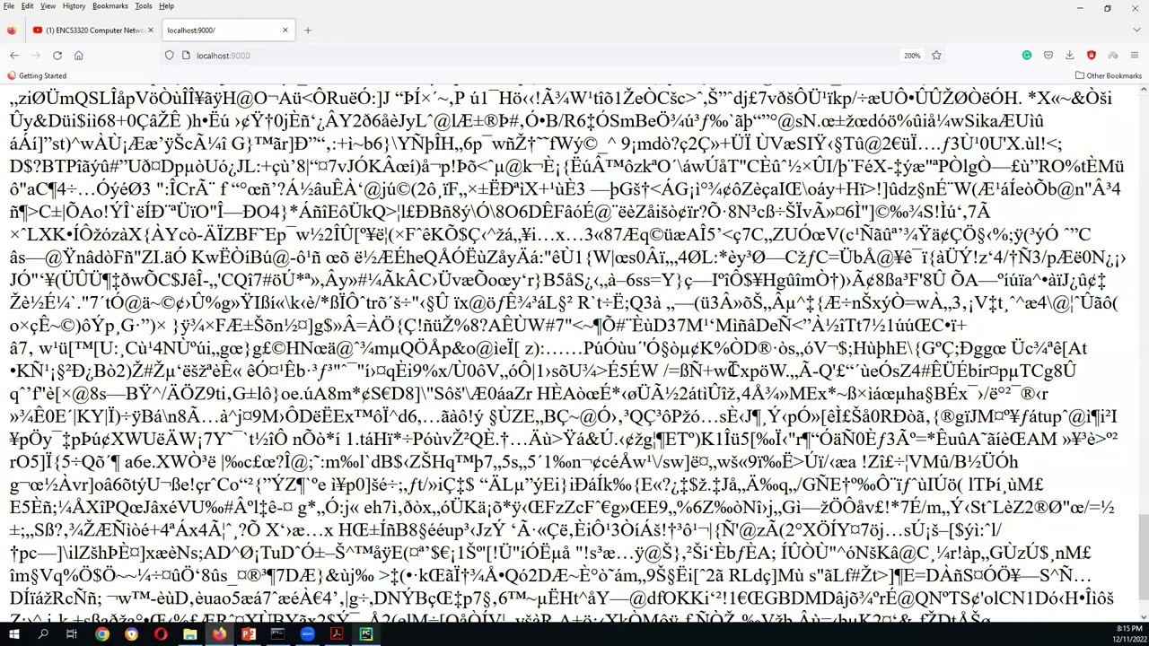 ENCS3320 Computer Networks: Project 1 discussion (socket Programming)