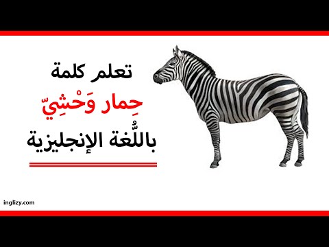 حمار وحشي باللغة الإنجليزية l سلسلة أسماء الحيوانات بالإنجليزية