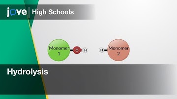 Hydrolysis | Bio | Video Textbooks - Preview