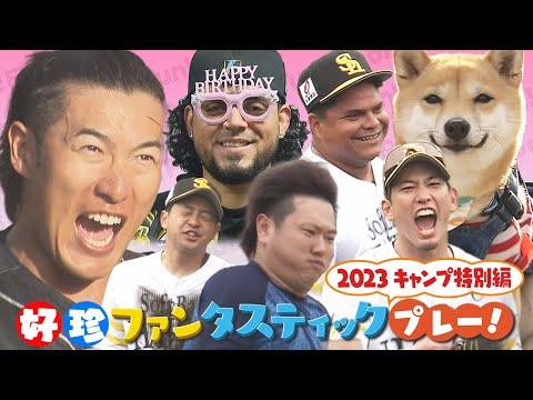 【好珍プレー】ホークスキャンプ特別編！2023