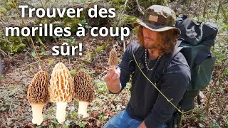 3 astuces ULTIMES pour trouver des morilles à coup sûr en 2023! SECRET de grand-père. screenshot 3