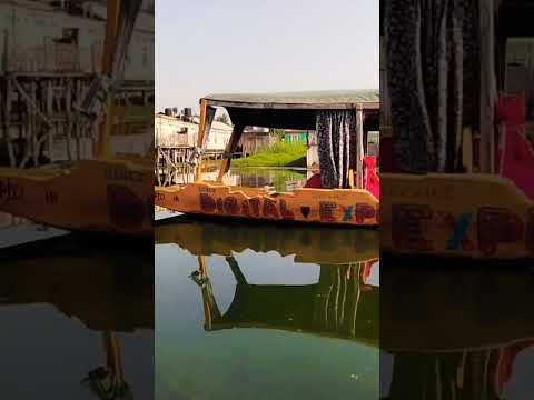 Video: Pe Dal Lake Kashmir?