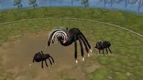Spore Creature Creator Video: Spider