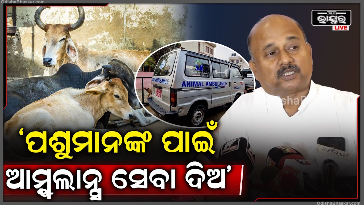 ପଶୁମାନଙ୍କ ପାଇଁ ଆମ୍ବୁଲାନ୍ସ ସେବା ଲାଗୁ କରିବାକୁ ଦାବି କଲେ ଓଡିଶା ଦୁଗ୍ଧ ଚାଷୀ ମହାସଂଘ ସଭାପତି...