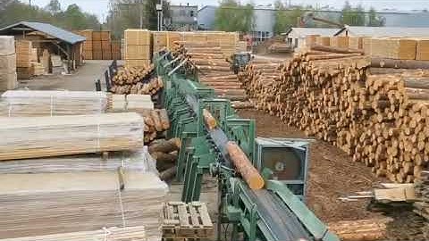 Log sorting line