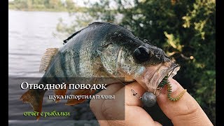 Ловля на отводной поводок. Щука помешала.