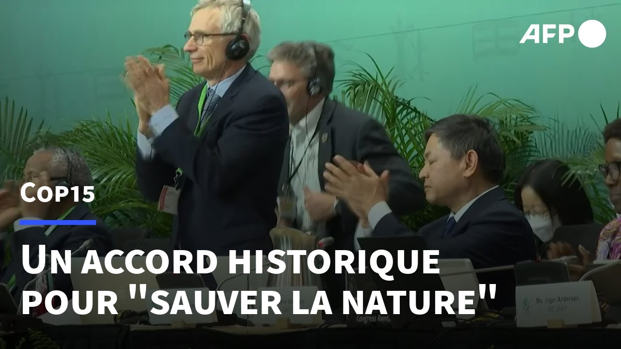 COP15: le monde adopte un accord historique pour tenter de sauver la nature | AFP