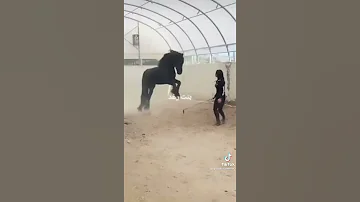 حفيده صدام 