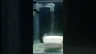 Aquascape Waterfall Method | Umderwater Sandfall   #shortvideo #shorts #aquarium