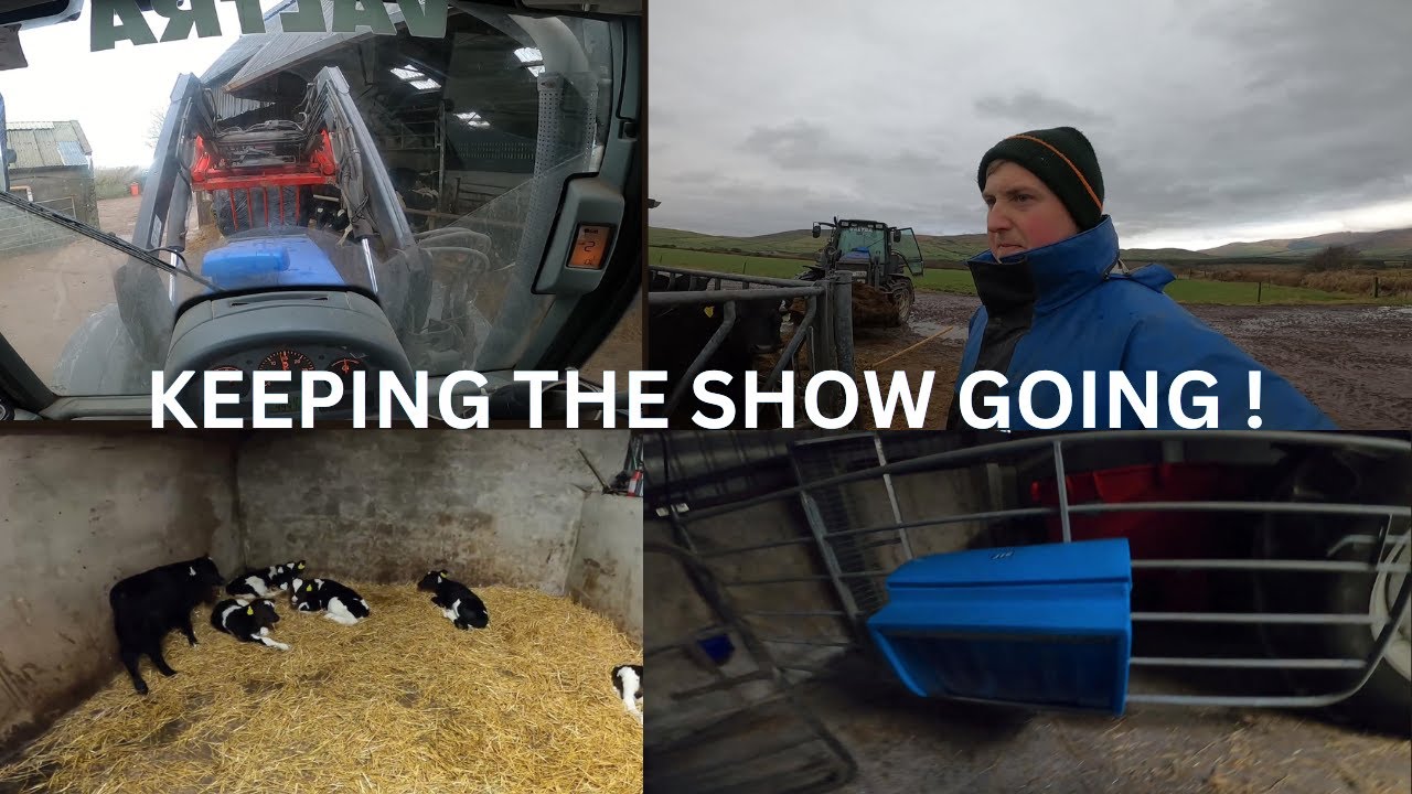 FARMING IMPROVEMENTS AND CALVING CONTINUES !
