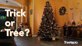 Trick or Tree? Black Halloween Tree from Treetopia™