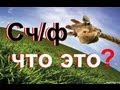 Счет-фактура - что за документ и для чего он нужен!!!