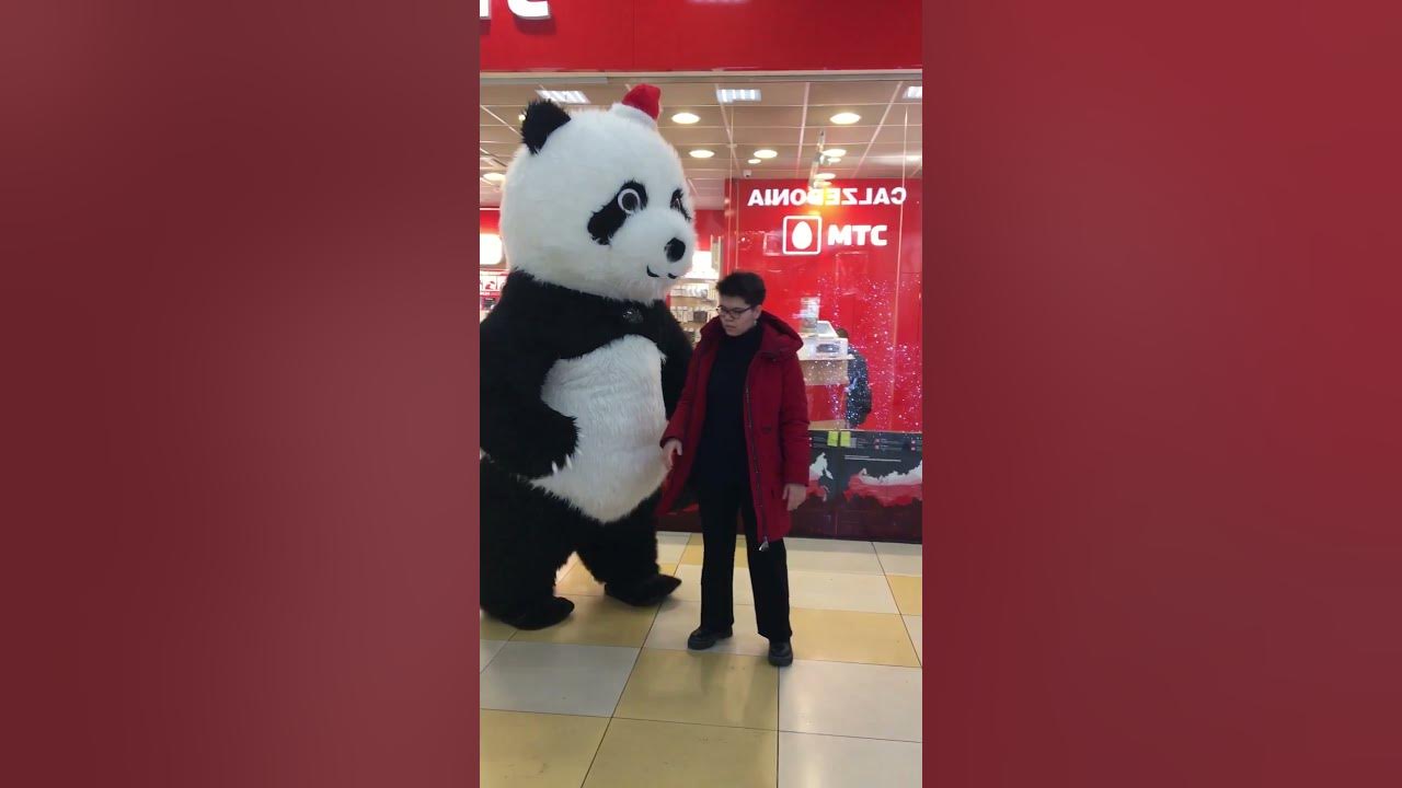Панда танцует видео. Панда танцует. Повторять танцы Панда. Китайские певицы и Танцующая Панда. Видео толстая Панда танцует.