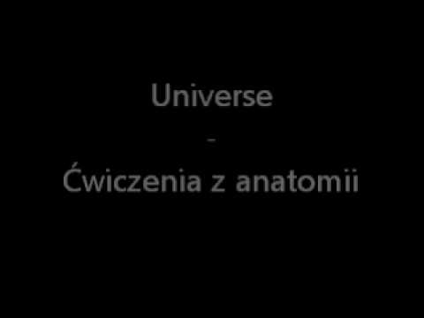 Ćwiczenia z anatomii