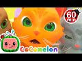 CoComelon - Three Little Kittens | Learning Videos For Kids | Education Show For Toddlers