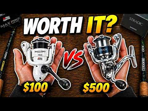 reels that can compete with a shimano stradic Brand New 24 SW 5000XG Spinning Reel Shimanos award Shimano Stradic FM/Bass Pro Shops