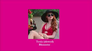 Blossoms - Texia (slowed)