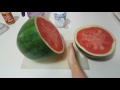 Watermelon video *GONE WRONG?!?!?!?*