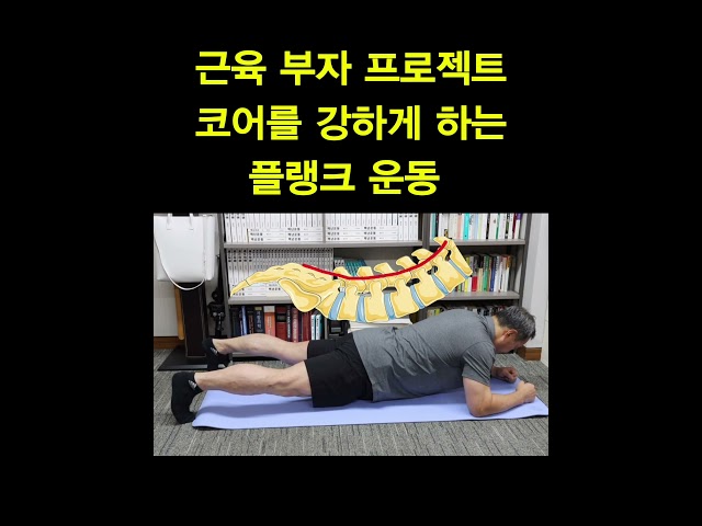 근육 부자 프로젝트 코어를 강하게 하는 플랭크 운동