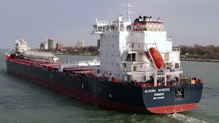 Algoma Intrepid - Upbound for the first time past the Ambassador Bridge