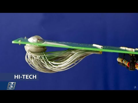 Слепым вернётся зрение: созданы киберглаза с искусственной сетчаткой | Hi-Tech