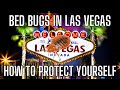 Bed Bugs In Las Vegas - How To Protect Yourself On The Las Vegas Strip (How To Check For Bed Bugs)