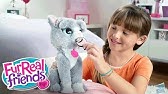 Furreal Friends Moustache Mon Chat Lulu De Kat Youtube Furreal Friends Moustache Mon Chat Lulu De Kat Youtube