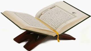 سورة النمل نصف وجه من ٨٩ إلى ٩٣ إبراهيم الأخضر ..♡