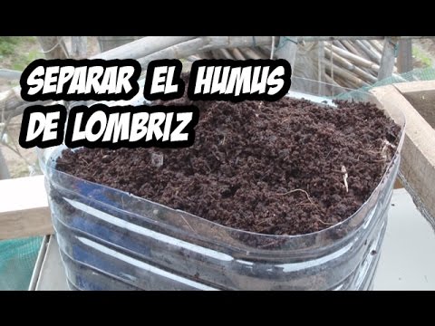 Como Separar el Humus de Lombriz | Huerto Organico