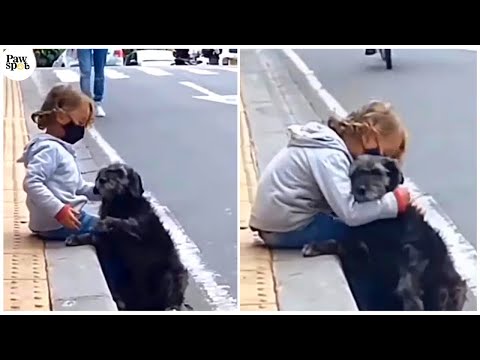 Video: Veicināt laipnību - veiciniet suni!