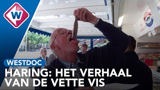 Haring: Het verhaal van de vette vis - WESTDOC OMROEP WEST