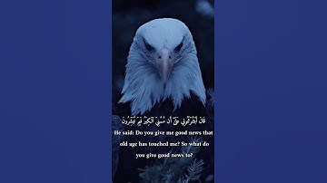 #سورة_الحجر #هزاع_البلوشي #تلاوات_خاشعة