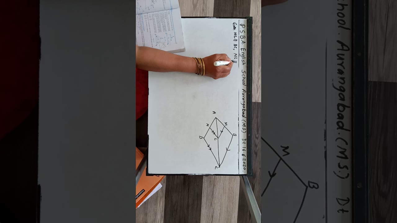 PSBA STD. 10th MATHS TRIANGLES LEC 3.2