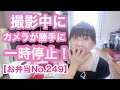 【お弁当No.249】炊き込みご飯＆洋風卵焼き＆