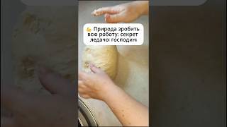 💪 Природа зробить всю роботу: секрет ледачої господині! Рецепт у прив'язаному відео  #рецепт #рулет