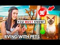 Big tips every rv pet owner can benefit from rv life
