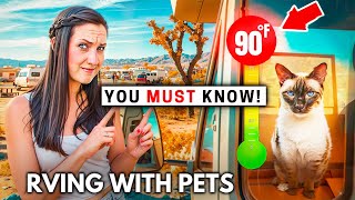 BIG Tips Every RV Pet Owner Can Benefit From (RV LIFE)