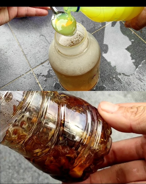 This ingredient is to repel stubborn whitefly pests on chili plants.