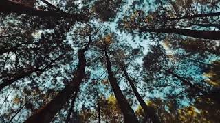 pemandangan alam Jedag jedug  || dianjurkan pake headset