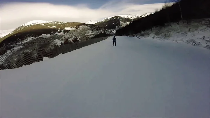 Dan Singleton  What goes up must come down  Pas de...