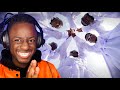 216 Whisky - Nzira Feat WeDande (Official Video) | REACTION