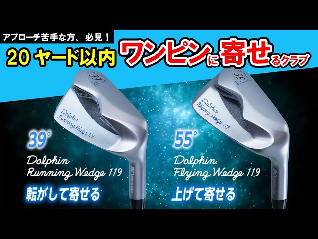 DOLPHIN RUNNING \u0026 FLYING WEDGE (39度　55度）