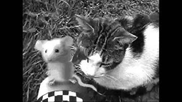 A Gorey Demise Mini Gmod/SFM collab instructions