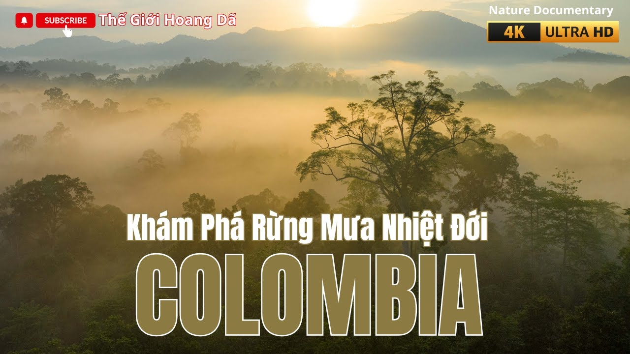 Rừng mưa nhiệt đới COLOMBIA | Ngôi nhà của động vật hoang dã vùng nhiệt đới. #thegioidongvat