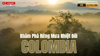 Download Lagu Rừng mưa nhiệt đới COLOMBIA | Ngôi nhà của động vật hoang dã vùng nhiệt đới. #thegioidongvat MP3 Download Lagu Rừng mưa nhiệt đới COLOMBIA | Ngôi nhà của động vật hoang dã vùng nhiệt đới. #thegioidongvat MP3