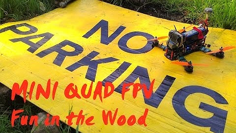 Mini Quad - FPV Racing in the Wood // Naze32 // Cobra // Blackout Clone ZMR250 // Mini-H Quadcopter