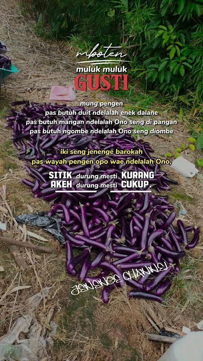 mboten muluk-muluk Gusti #petanimilenial
