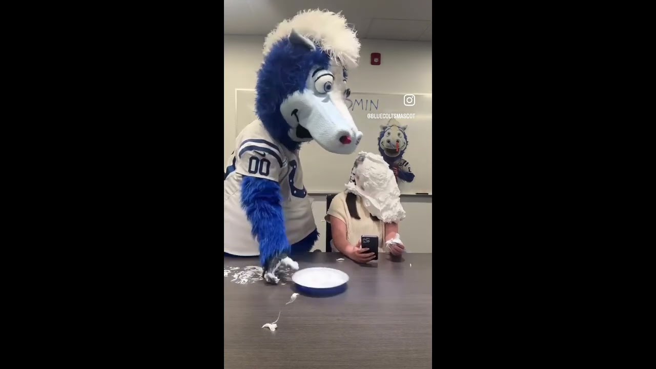 More Blue Colts Mascot Pie in the Face Compilation 🤣🤣🤣🤣