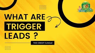 What Are Trigger Leads?