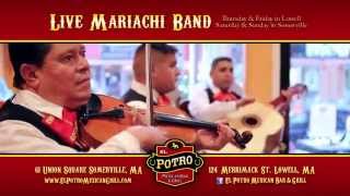 El Potro Mexican Grill   PR Commercial